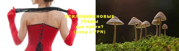 ешки Волосово
