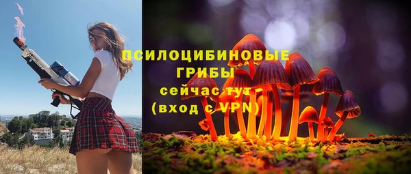 мяу мяу мука Горно-Алтайск