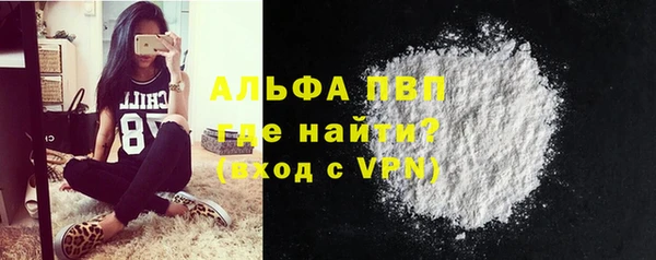 мяу мяу мука Горно-Алтайск