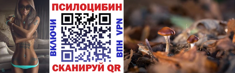 сайты даркнета как зайти  Данилов  Галлюциногенные грибы мухоморы  kraken сайт 