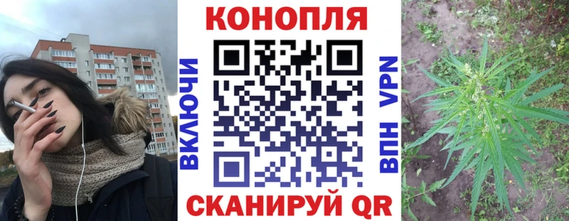 Канабис семена Данилов